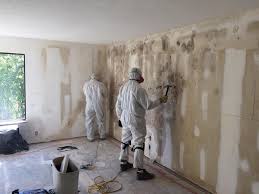 Mold Remediation for Vacation Homes in Waverly, MN